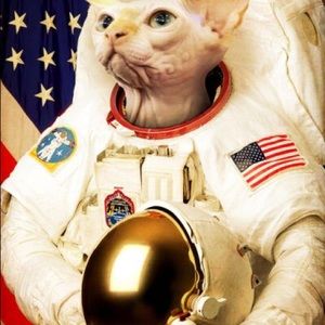 Meet your Posher, Kris